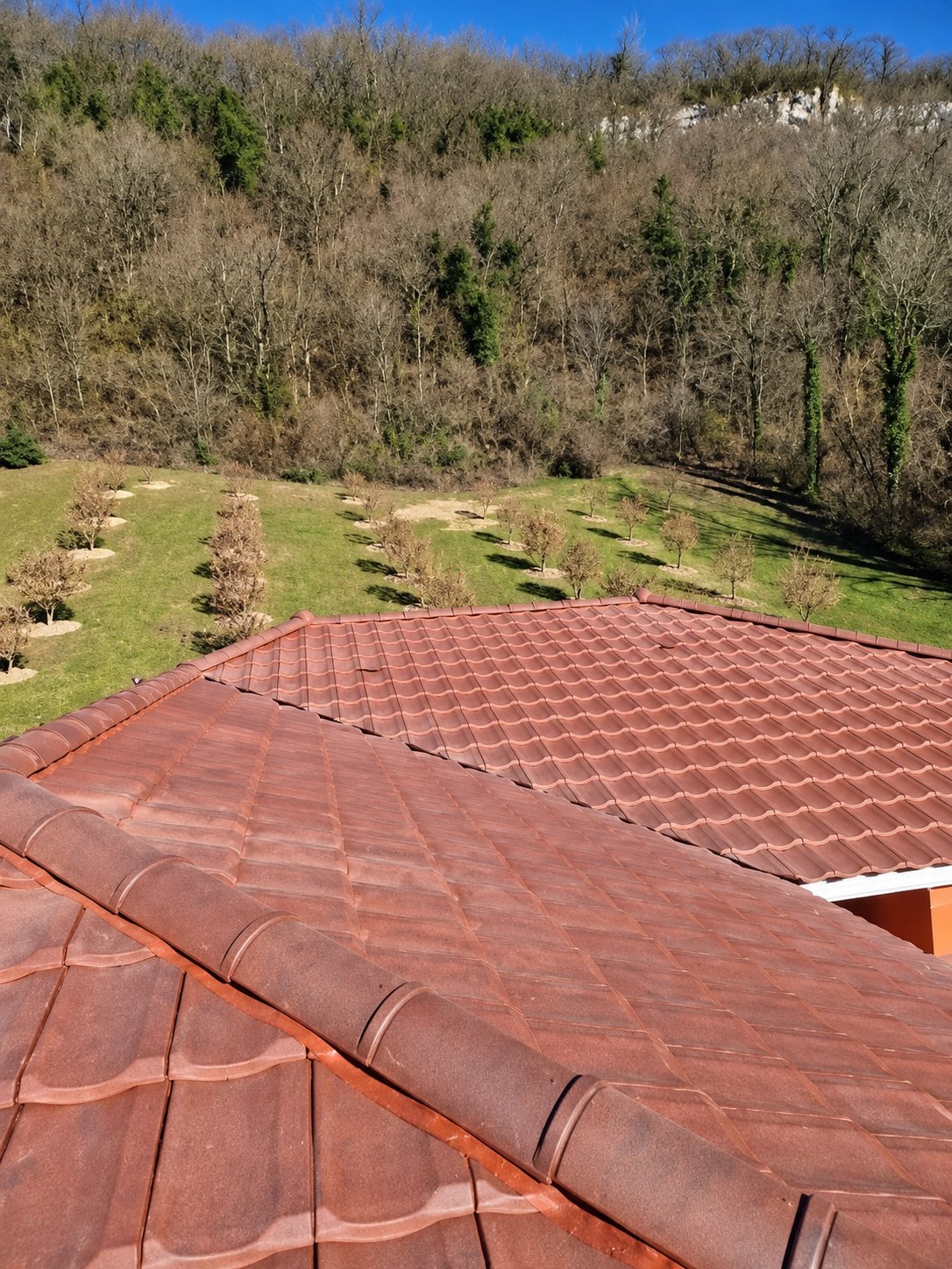 Toiture en tuiles rouges devant une colline boisée
